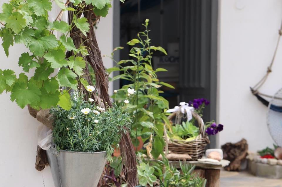 Athina Studios Chorto Exterior foto